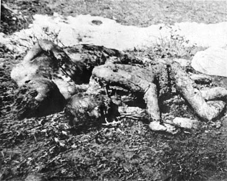 decomposing bodies of victims murdered at Jasenovac